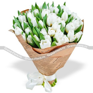 35 белых тюльпанов